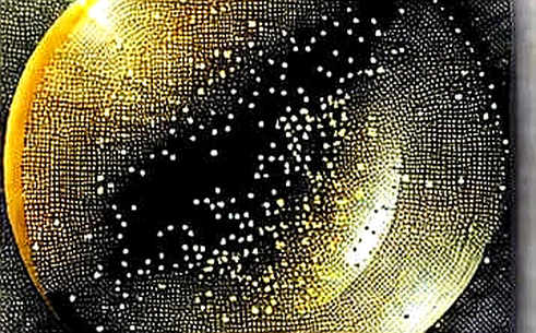 The Wall Street Giant's Crypto Gambit: Will Schwab's Trust Machine Dilute or Deepen Decentralization? The Wall Street Giant's Crypto Gambit: Will Schwab's Trust Machine Dilute or Deepen Decentralization?