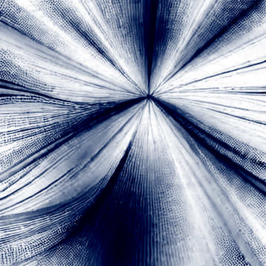 The Polymarket Mirage: How Unverified News Distorts On-Chain Prediction Accuracy The Polymarket Mirage: How Unverified News Distorts On-Chain Prediction Accuracy