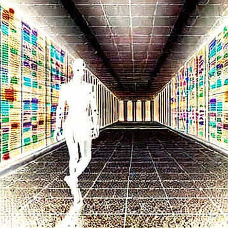 The $197M Whisper: Why Wall Street's ETF Inflow Is Not the Retail Revival You're Waiting For The $197M Whisper: Why Wall Street's ETF Inflow Is Not the Retail Revival You're Waiting For