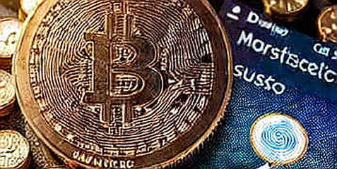 The Ghost in the Fan Token: Michael Olise, the Record, and the Empty Pool The Ghost in the Fan Token: Michael Olise, the Record, and the Empty Pool